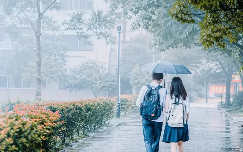 《伞下心动》凭什么成为甜宠黑马？三大原因说清 - 短剧资源资讯配图