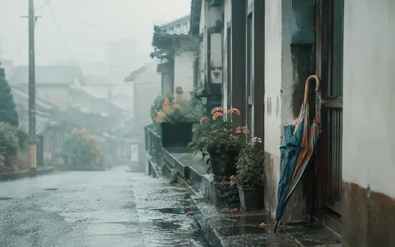 《妈妈的旧雨伞》口碑炸裂：一次迟到很多年的和解 - 短剧资源资讯配图